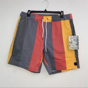 RVCA Shorts, multi color, size 34.